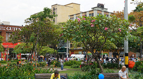 Medellin17