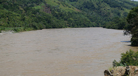Cauca2