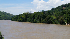 Cauca3