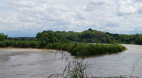 Cauca4