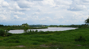 Cauca7