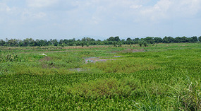 Seen1