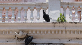 Cartagena37