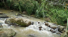 San Gil12