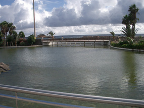 Caleta de Fuste1