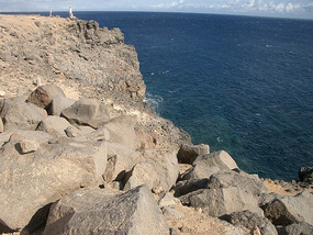 Nuevo Horizonte1