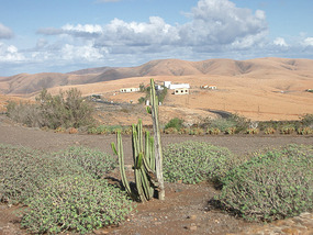 Antigua2