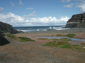 Los Molinos1