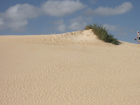 Dünen6
