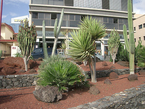 Puerto del Rosario3