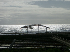 Museo de Sal4