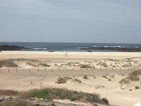 Cotillo1