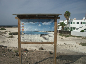 Cotillo2