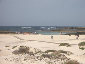 Cotillo3
