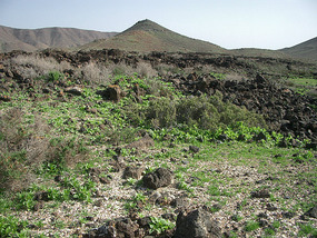 Ruinas5