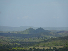 Holguin12