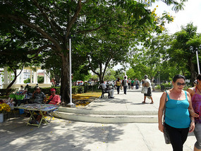 Holguin29