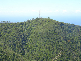 Gran Piedra17