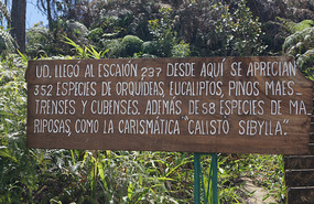 Gran Piedra33