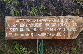 Gran Piedra35