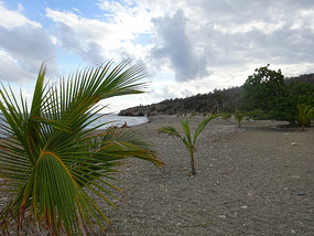 Strand7