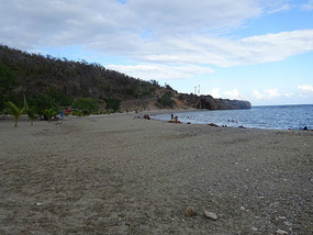 Strand8