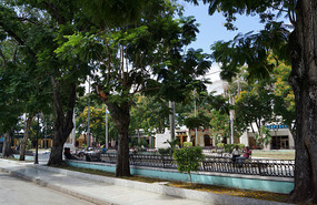 Bayamo7