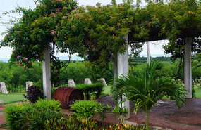 La Demajagua12