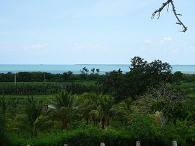 La Demajagua17