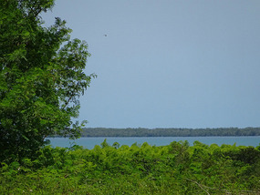 La Demajagua3