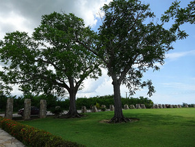 La Demajagua5