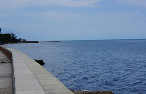 Manzanillo4