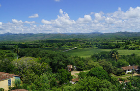 Manaca Iznaga10