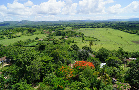 Manaca Iznaga13