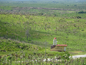 Mirador1