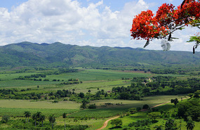 Mirador5
