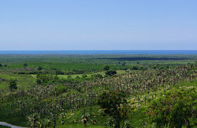 Mirador6