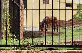 Trinidad Altstadt5