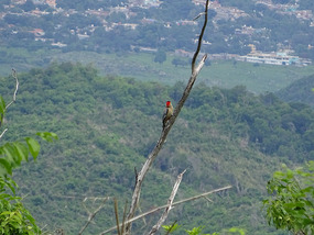 Topes de Collantes2