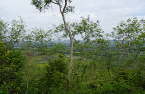 Matanzas7