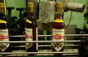 Schnapsfabrik5