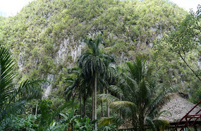 Cueva de San Miguel11