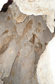 Cueva de San Miguel3