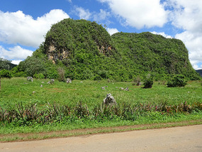 Valle de Vinales2