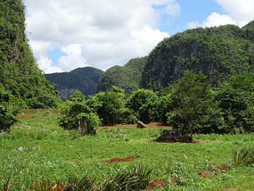 Valle de Vinales3