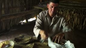 Video Tabakplantage