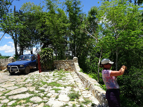 Mirador6