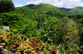 Orchideengarten12