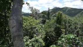 Video Mirador2