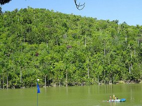 am See5